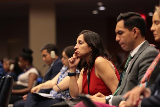 Delegates listen to the information presented on SDG 1