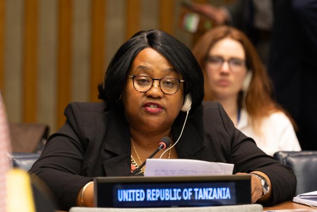 Pindi Chana, Minister of Constitutional and Legal Affairs, Tanzania