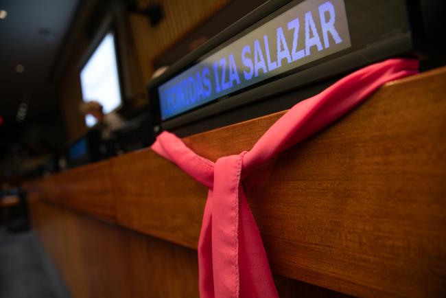 Pink scarves decorate the venue, highlighting that healthcare and bodily autonomy is a right