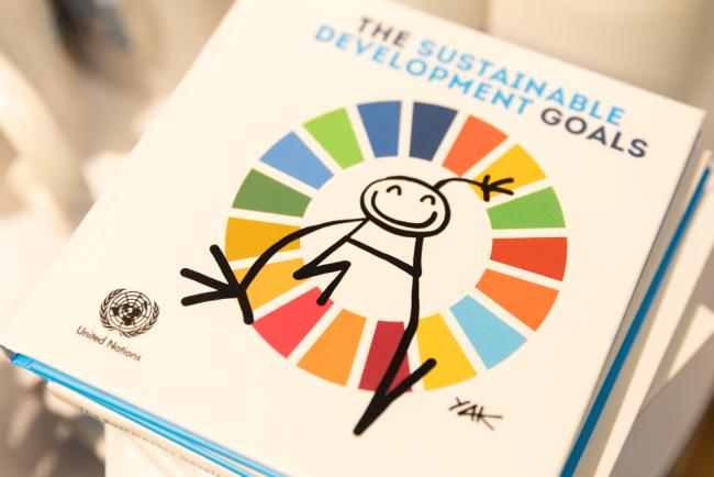 SDG book