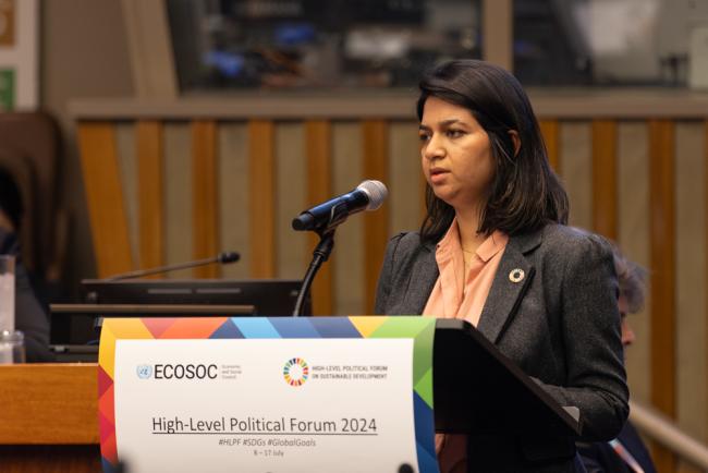 Faryal Ahmed, Statistics Division, UNDESA