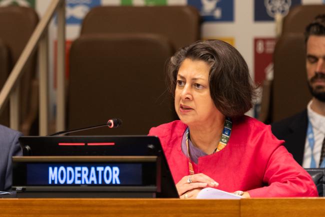 Moderator Afshan Khan, Coordinator, Scaling Up Nutrition Movement (SUN)