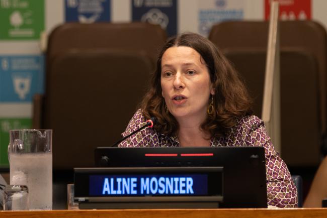 Aline Mosnier, Scientific Director, FABLE Pathways Consortium, France