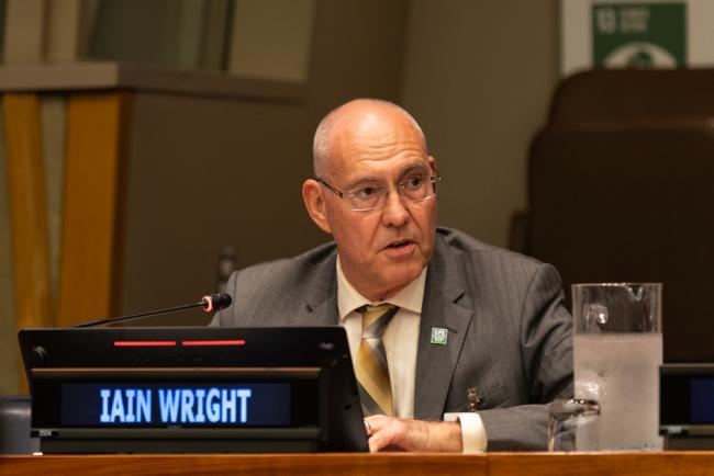 Iain Wright, Vice Chair, Steering Committee of the High-Level Panel of Experts on Food Security and Nutrition, Committee on World Food Security