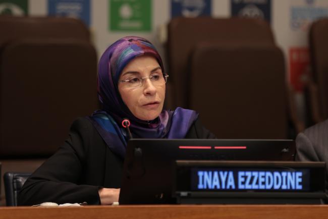 Inaya Ezzedine, Member of Parliament, Lebanon