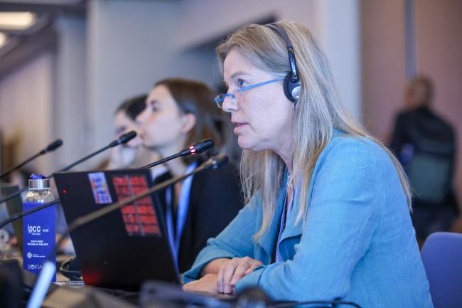 Lindsey Fielder Cook, Friends World Committee for Consultation 