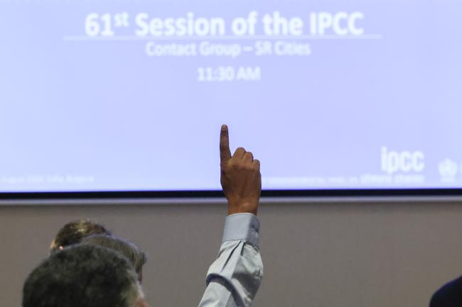 A delegate asking for the floor
