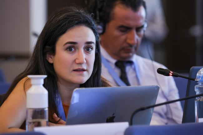 Merve Güreş, Türkiye 