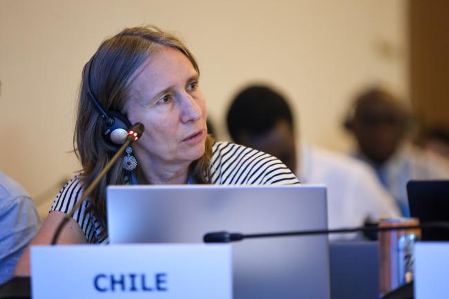 Maritza Jadrijevic, Chile