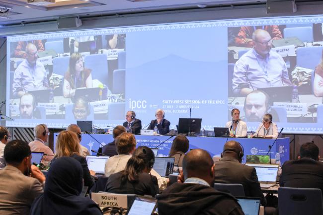 A view of the room during the afternoon plenary 