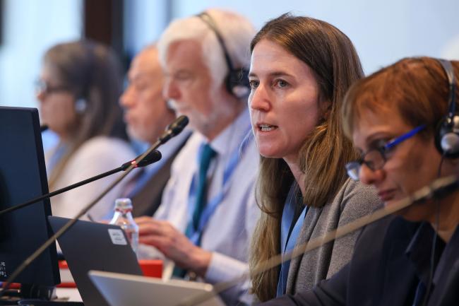 WGIII Co-Chair Katherine Calvin, United States