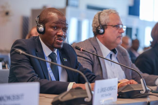 IPCC Vice-Chair Ladislaus Chang'a, Tanzania