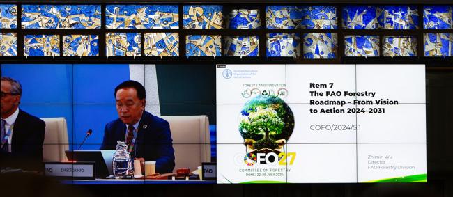 Item 7 - COFO27 - 24Jul2024