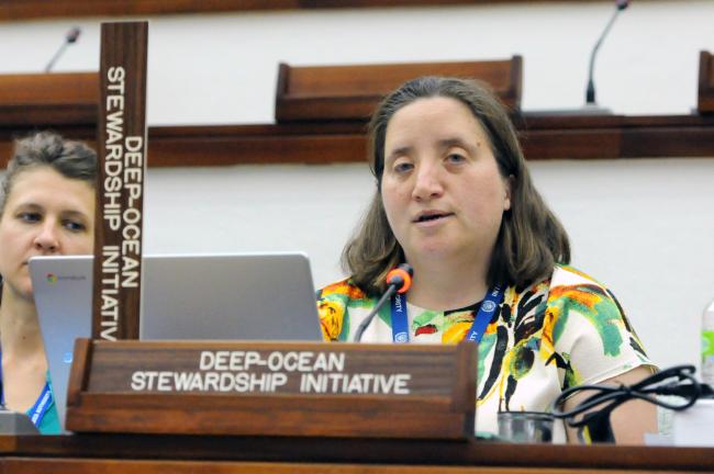 Jesse van der Grient, Deep-Ocean Stewardship Iniciative (DOSI)