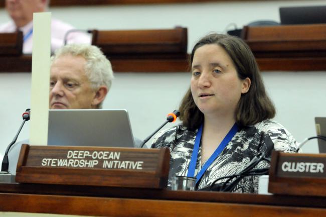 Jesse van der Grient, Deep-Ocean Stewardship Initiative (DOSI)