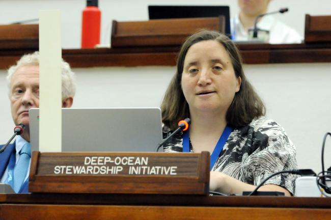 Jesse van der Grient, Deep-Ocean Stewardship Iniciative (DOSI)