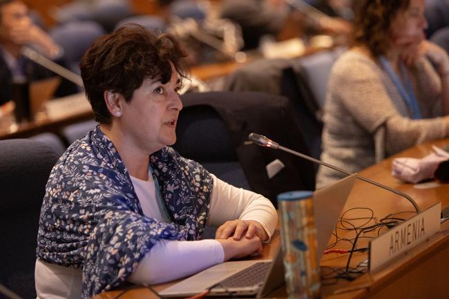 Liana Ghahramanyan, Armenia - OEWG46 - 11July2024