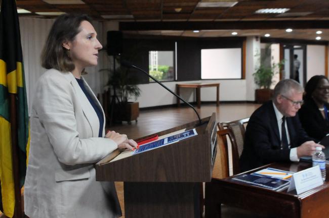 Marie Bourrel-McKinnon, ISA Secretariat