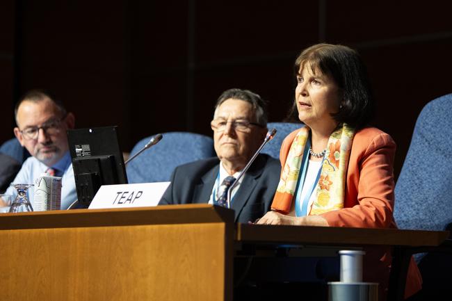 Marta Pizano, TEAP - OEWG46 - 9July2024