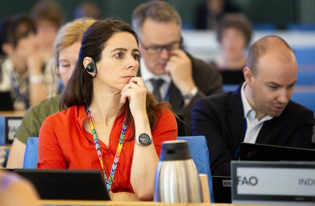 Nora Ricken, EU - COFO27 - 23Jul2024