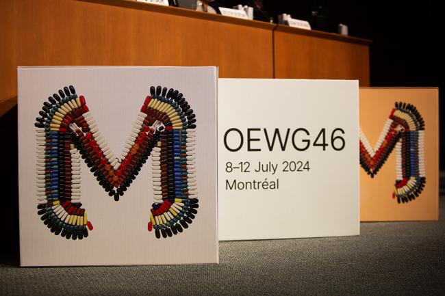 OEWG Sign- OEWG46 - 8July2024