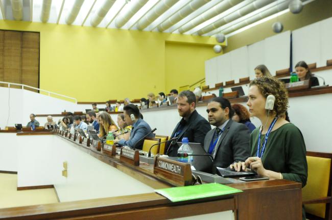 Observers during the Informal Working Group on Institutional Matters