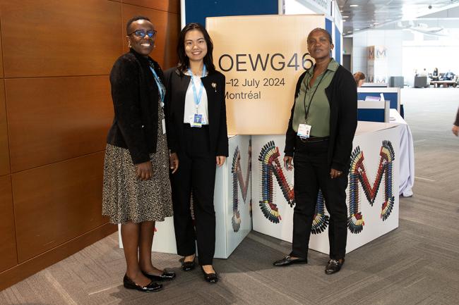 Ozone Secretariat - OEWG46 - 11July2024