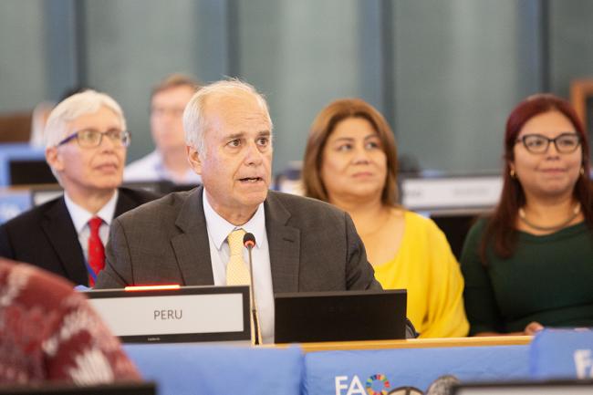 Delegates from Peru presented the proposal for their country to host the XVI World Forestry Congress in 2027.