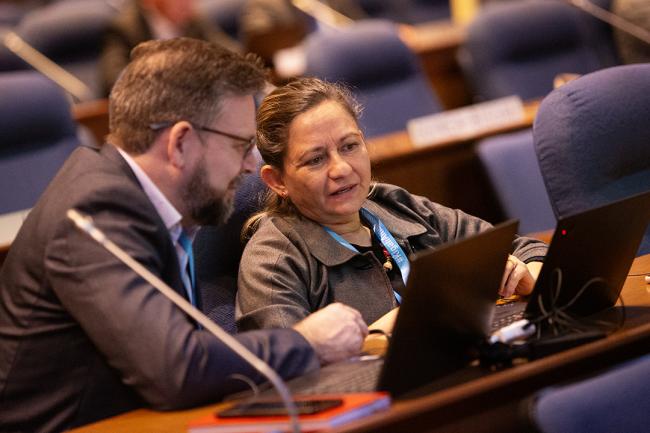 Plenary Delegates - OEWG46 - 11July2024