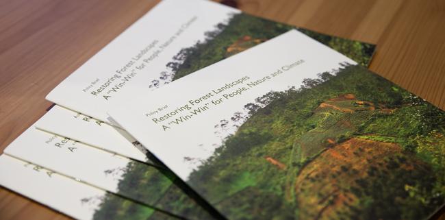 Restoring Forest Landscapes - COFO27 - 23Jul2024