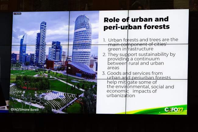 Role of urban and peri urban forests - COFO27 - 24Jul2024