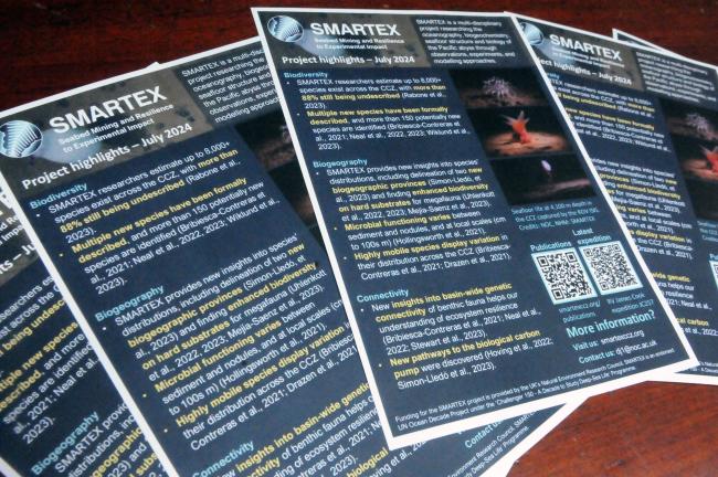 SMARTEX flyer