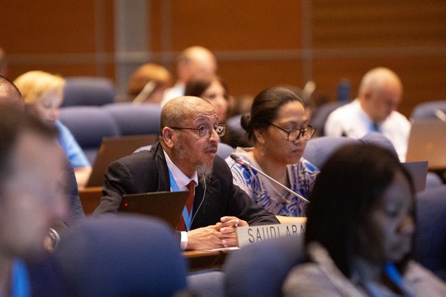Saudi Arabia - OEWG46 - 8July2024