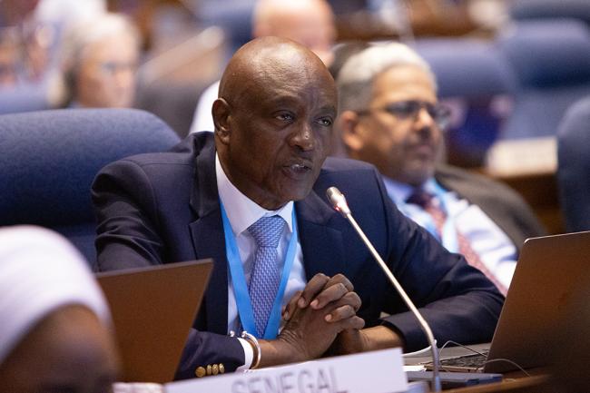 Cheikh Ndiaye Sylla, Senegal- OEWG46 - 8July2024
