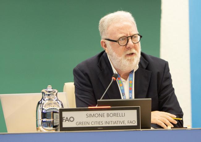 Simone Borelli, Green Cities Initiative, FAO - COFO27 - 26Jul2024