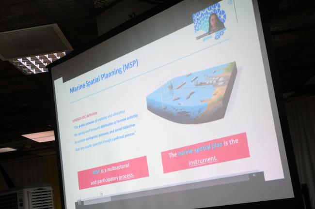 A slide from the online presentation by Michele Quesada da Silva, Intergovernmental Oceanographic Commission of the United Nations Educational, Scientific and Cultural Organization (IOC/UNESCO)