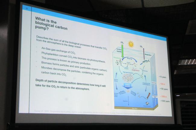 A slide from the presentation by Patrick Downes, The Metals Company