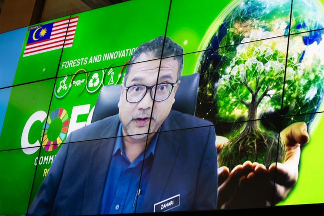 Some delegates participated in the plenary session virtually. - COFO27 - 22Jul2024