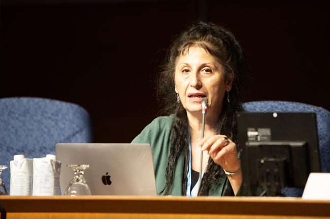 Sophia Mylona, Ozone Secretariat - OEWG46 - 9July2024