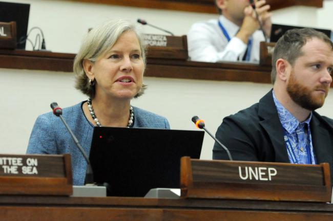 Susan Gardner, United Nations Environment Programme (UNEP)