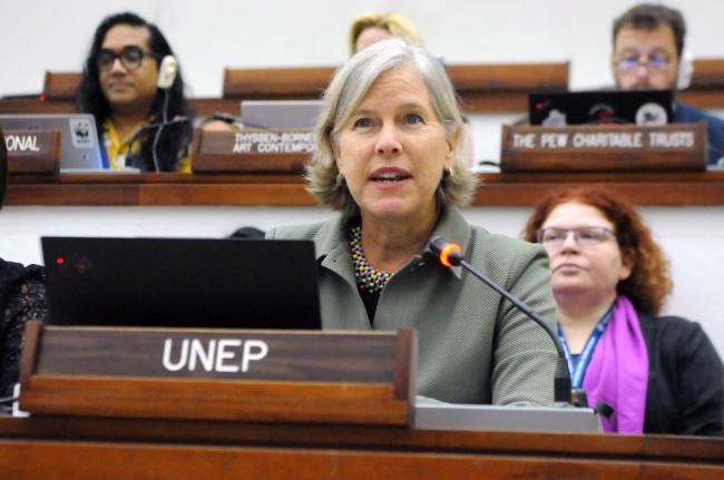 Susan Gardner, UN Environment Programme (UNEP)