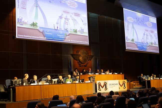 TEAP Presentation - OEWG46 - 8July2024