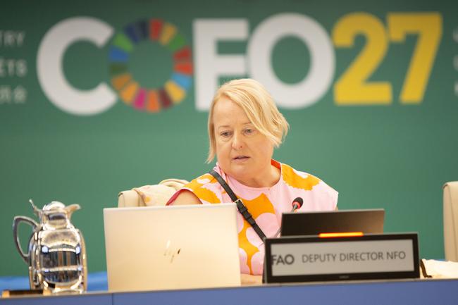 Tiina Vähänen, Deputy Director of the Forestry Division, FAO