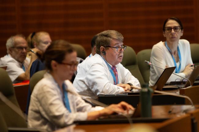 WG TEAP - OEWG46 - 10July2024