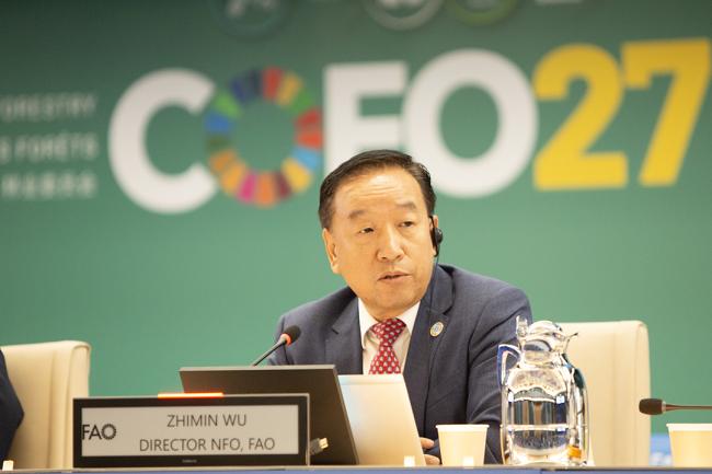 Wu Zhimin, Director NFO, FAO - COFO27 - 26Jul2024