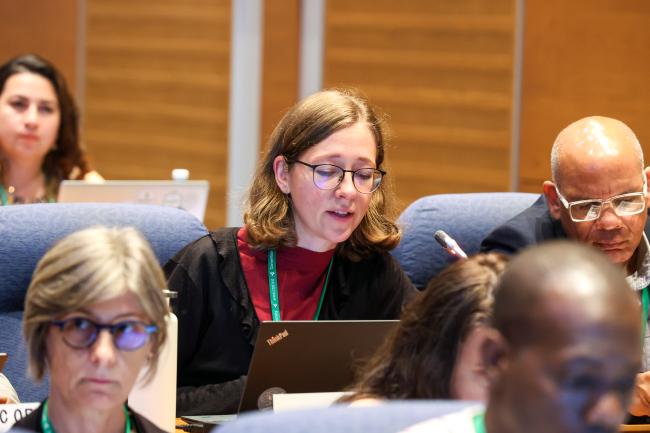Contact Group Co-Facilitator Eliška Rolfová, Czechia, reporting on progress