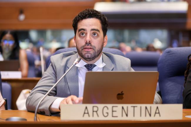 Contact Group 1 Co-Facilitator Joaquín Salzberg, Argentina, reporting on progress