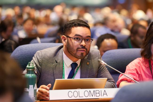 Eduardo Mc Ausland Bustillo, Colombia