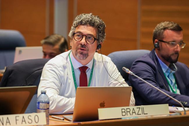 Gustavo de Britto Freire Pacheco, Brazil