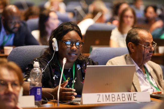 Natasha Mavengere, Zimbabwe
